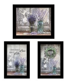 "Abundance of Beauty Collection" 3-Piece Vignette By Lori Deiter, Ready to Hang Framed Print, Black Frame