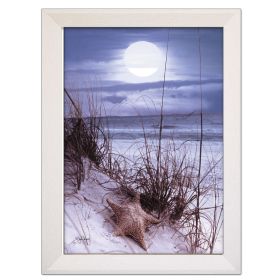 "The Seashore" By John Jones, Printed Wall Art, Ready To Hang Framed Poster, White Frame