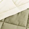 Twin/Twin XL 2-Piece Microfiber Reversible Comforter Set in Sage Green/Cream