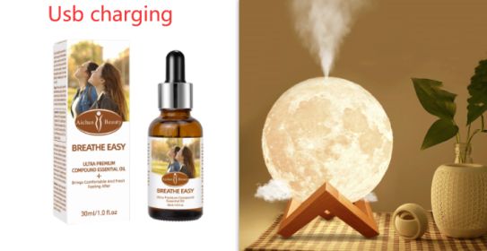 Lunar Humidifier Night Light Bedroom Household Aromatherapy Moisturizing Spray Dormitory Bedside Mute Creative Gift (Option: Wood set-Usb charging)