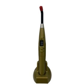 Dental Color Rechargeable UV Curing Lamp (Option: Gold-US)